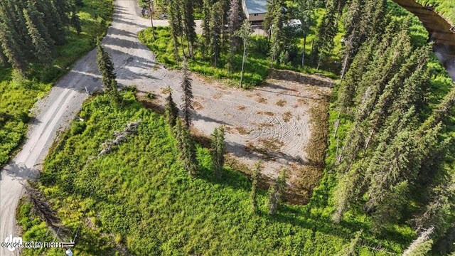 23634 Kasilof River Cir, Kasilof, AK 99610 - exterior view