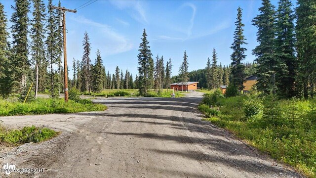 23634 Kasilof River Cir, Kasilof, AK 99610 - view of dirt / gravel driveway with a forest view