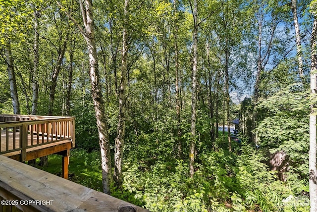 3818 Helvetia Dr, Anchorage, AK 99508 - photo 29