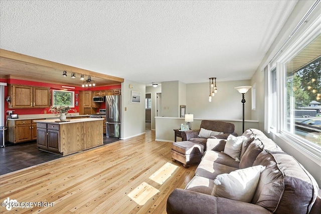 2924 Carnaby Way, Anchorage, AK 99504 - living area featuring dark wood finished floors, a textured ceiling, and rail lighting