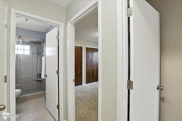 2924 Carnaby Way, Anchorage, AK 99504 - hall with a textured ceiling