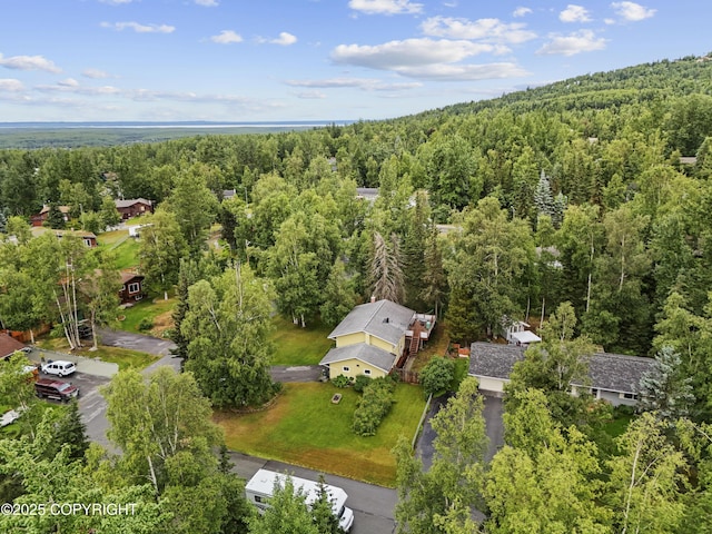 10711 Colville St, Eagle River, AK 99577 - aerial view of a heavily wooded area