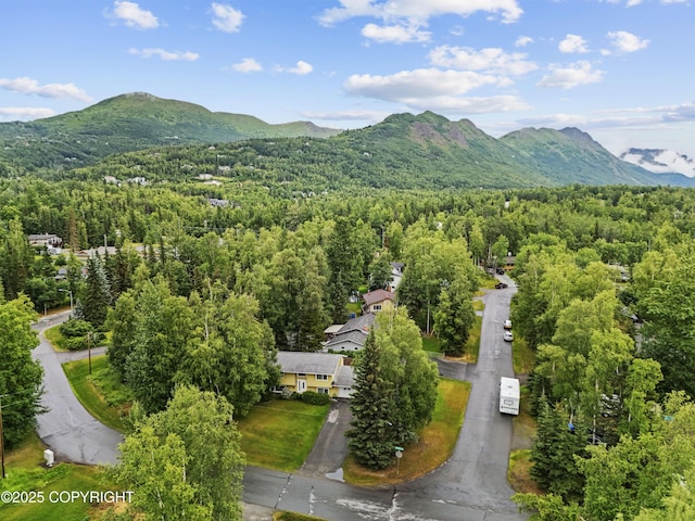 10711 Colville St, Eagle River, AK 99577 - aerial view of a heavily wooded area