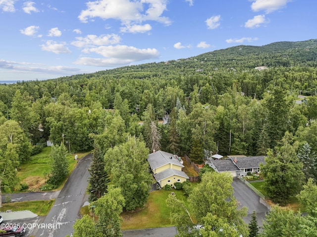 10711 Colville St, Eagle River, AK 99577 - aerial view of property and surrounding area featuring a forest