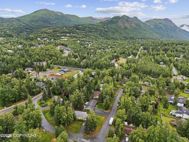 10711 Colville St, Eagle River, AK 99577 - view of property location featuring mountains and a forest