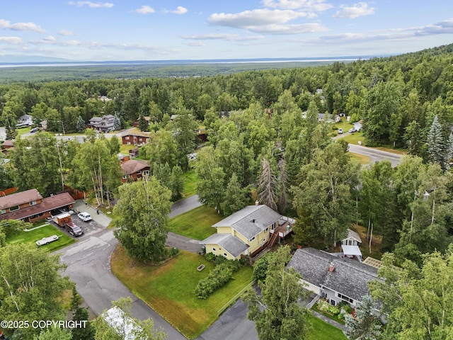 10711 Colville St, Eagle River, AK 99577 - drone / aerial view of a forest