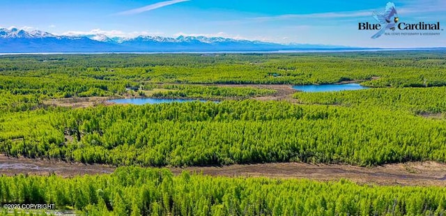 LC4 W Sunset Ave, Wasilla, AK 99623