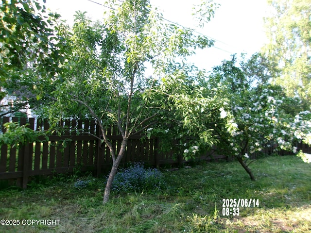 5731 College Dr, Anchorage, AK 99504 - view of yard