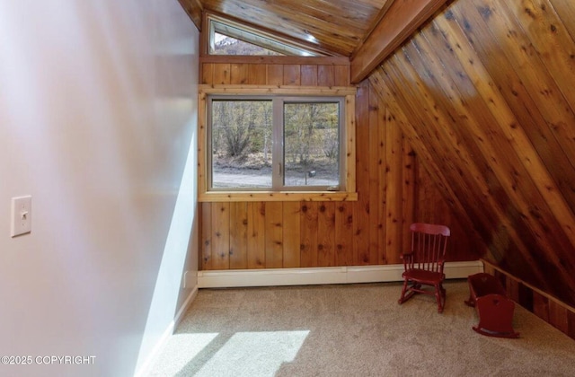 8011 Stewart Mountain Dr, Eagle River, AK 99577 - additional living space with vaulted ceiling, wood walls, carpet, and a baseboard radiator