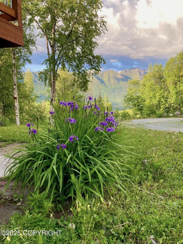 8011 Stewart Mountain Dr, Eagle River, AK 99577 - view of yard featuring a mountain view