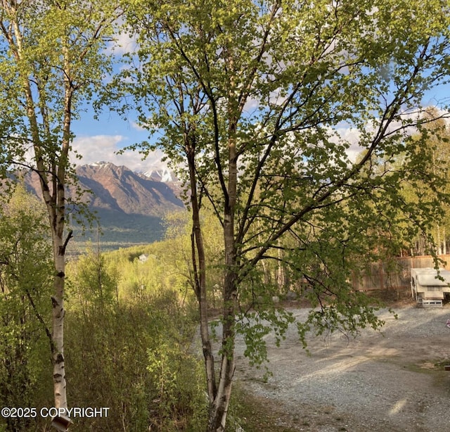 8011 Stewart Mountain Dr, Eagle River, AK 99577 - view of mountain background