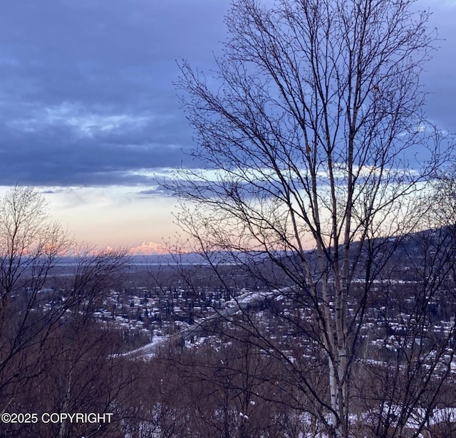 8011 Stewart Mountain Dr, Eagle River, AK 99577 - view of city