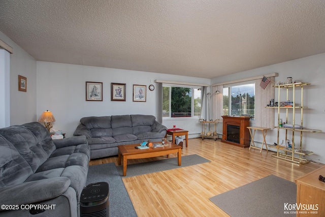 203 S Cobb St, Palmer, AK 99645 - living room with wood finished floors and a textured ceiling