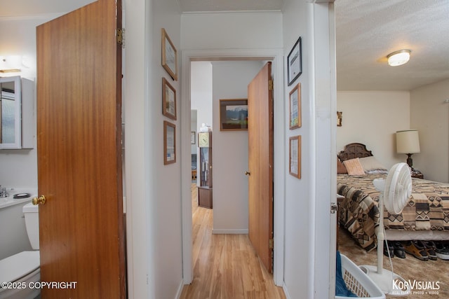 203 S Cobb St, Palmer, AK 99645 - corridor featuring light wood-style flooring and baseboards