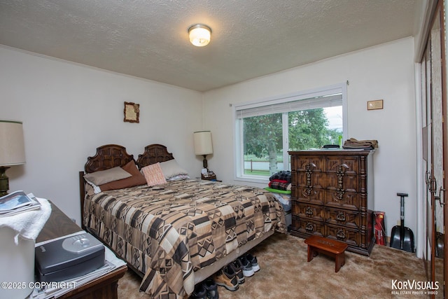 203 S Cobb St, Palmer, AK 99645 - carpeted bedroom featuring a textured ceiling and crown molding