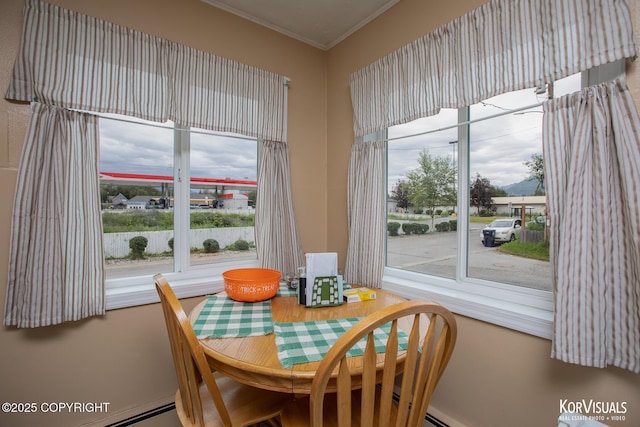 203 S Cobb St, Palmer, AK 99645 - dining area with ornamental molding and baseboard heating
