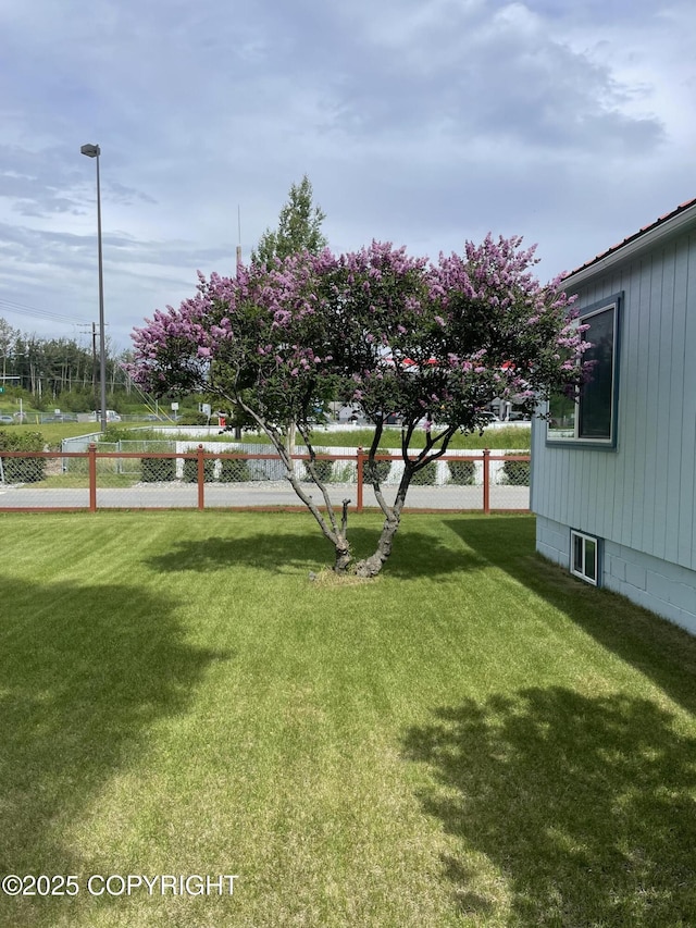203 S Cobb St, Palmer, AK 99645 - view of yard