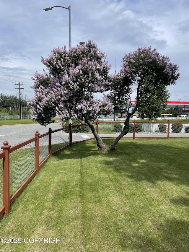 203 S Cobb St, Palmer, AK 99645 - view of yard