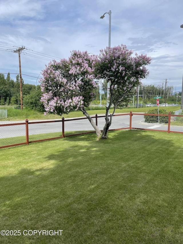 203 S Cobb St, Palmer, AK 99645 - view of yard
