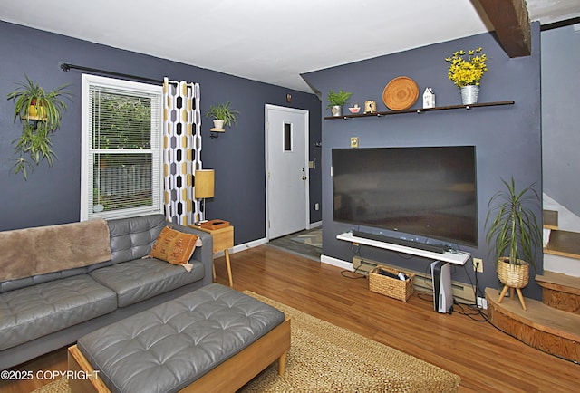 213 Lee Dr, Homer, AK 99603 - living room featuring wood finished floors and baseboards