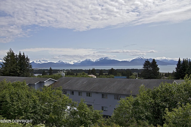 213 Lee Dr, Homer, AK 99603 - view of mountain background