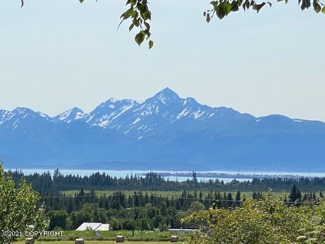60871 Bear Creek Dr, Homer, AK 99603 - mountain view