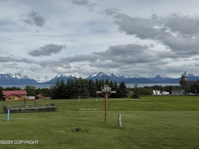60871 Bear Creek Dr, Homer, AK 99603 - surrounding community featuring a mountain view and a yard