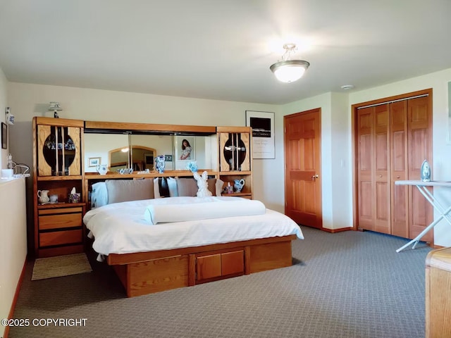 60871 Bear Creek Dr, Homer, AK 99603 - bedroom featuring carpet and a closet
