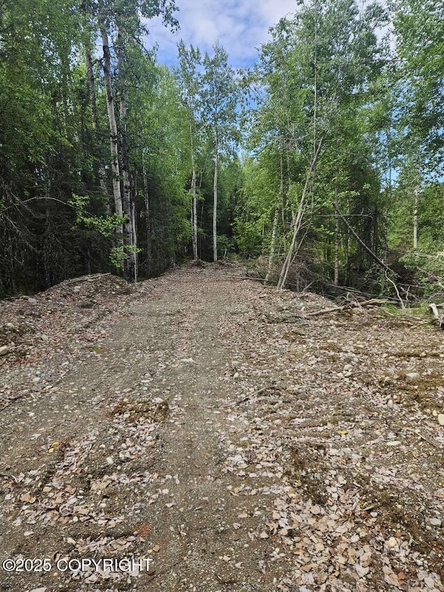 10267 N Buckingham Palace, Willow, AK 99688