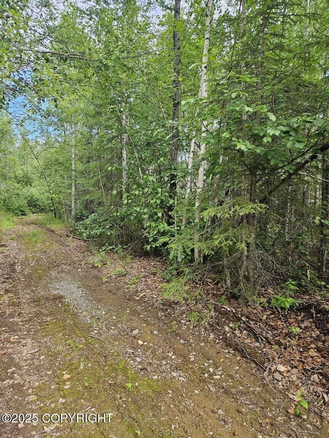 10267 N Buckingham Palace, Willow, AK 99688