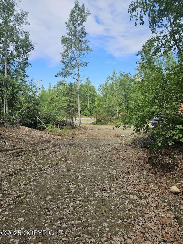 10267 N Buckingham Palace, Willow, AK 99688