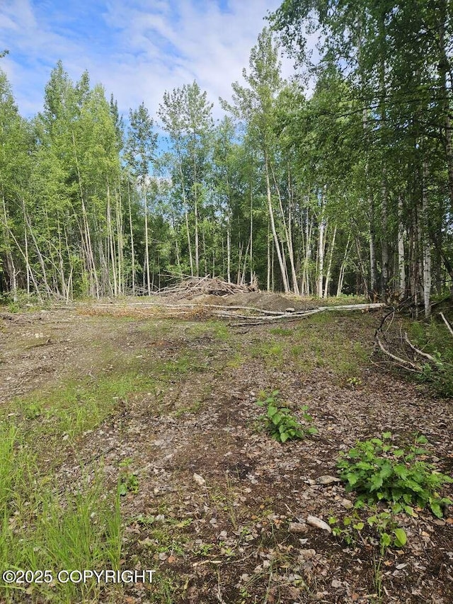 10267 N Buckingham Palace, Willow, AK 99688