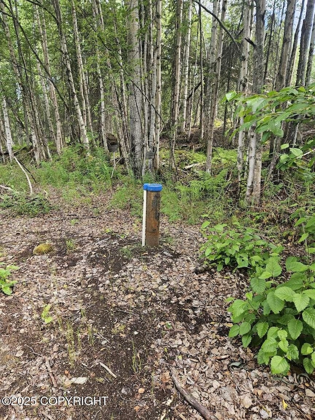 10267 N Buckingham Palace, Willow, AK 99688