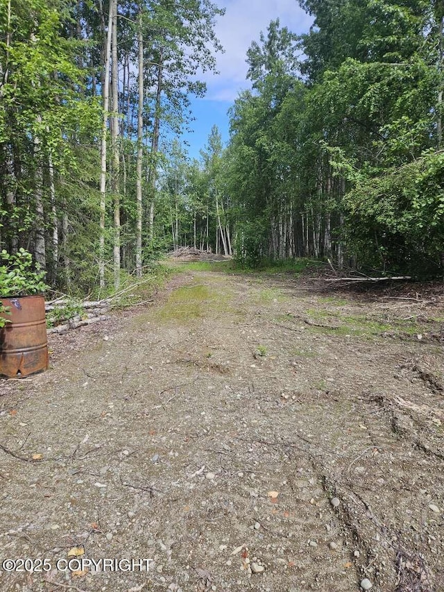 10267 N Buckingham Palace, Willow, AK 99688