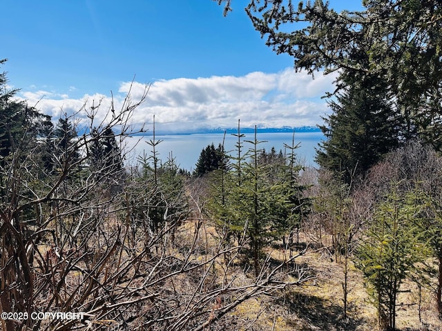 000 Highland Dr, Homer, AK 99603
