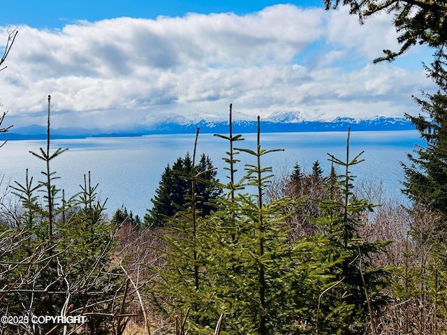 000 Highland Dr, Homer, AK 99603