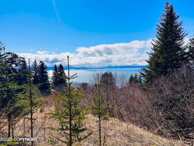 000 Highland Dr, Homer, AK 99603
