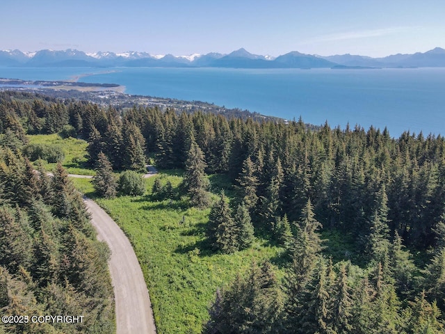 000 Highland Dr, Homer, AK 99603