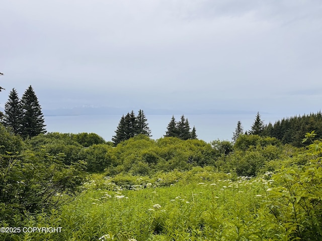 000 Highland Dr, Homer, AK 99603