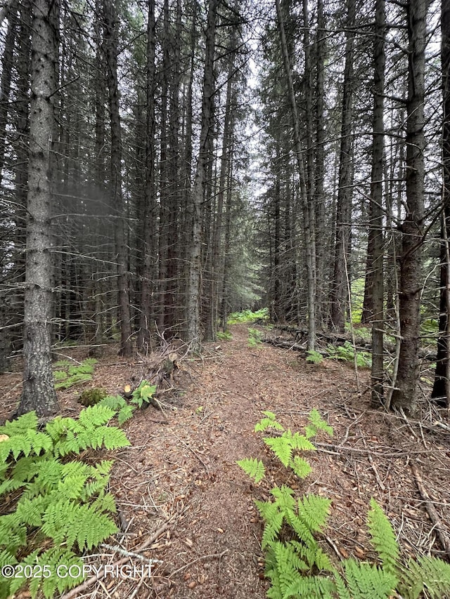 000 Highland Dr, Homer, AK 99603