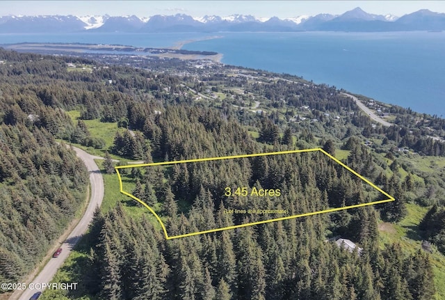 000 Highland Dr, Homer, AK 99603