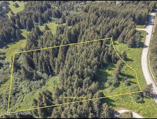 000 Highland Dr, Homer, AK 99603
