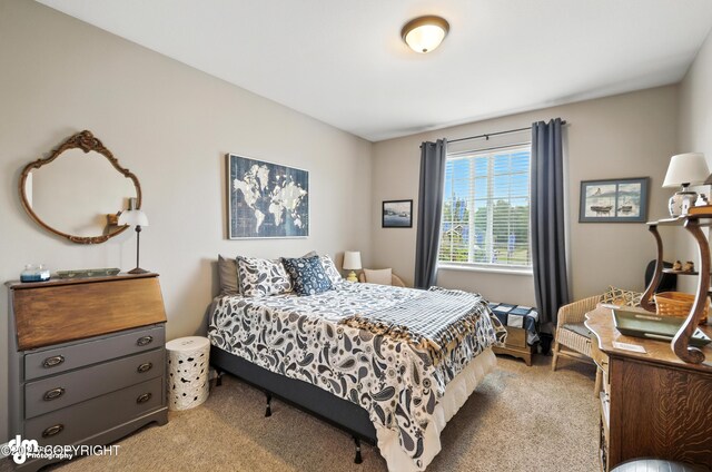 765 W Jones Dr, Wasilla, AK 99654 - photo 34
