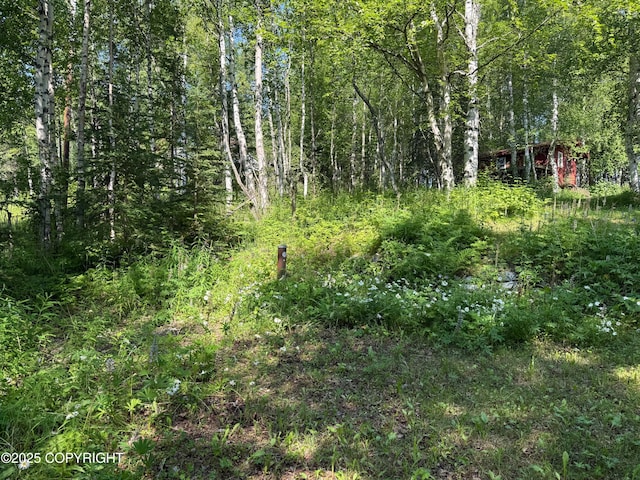 4261 E Foxtrot Ave, Wasilla, AK 99654 - view of tree filled area