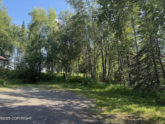 4261 E Foxtrot Ave, Wasilla, AK 99654 - view of street