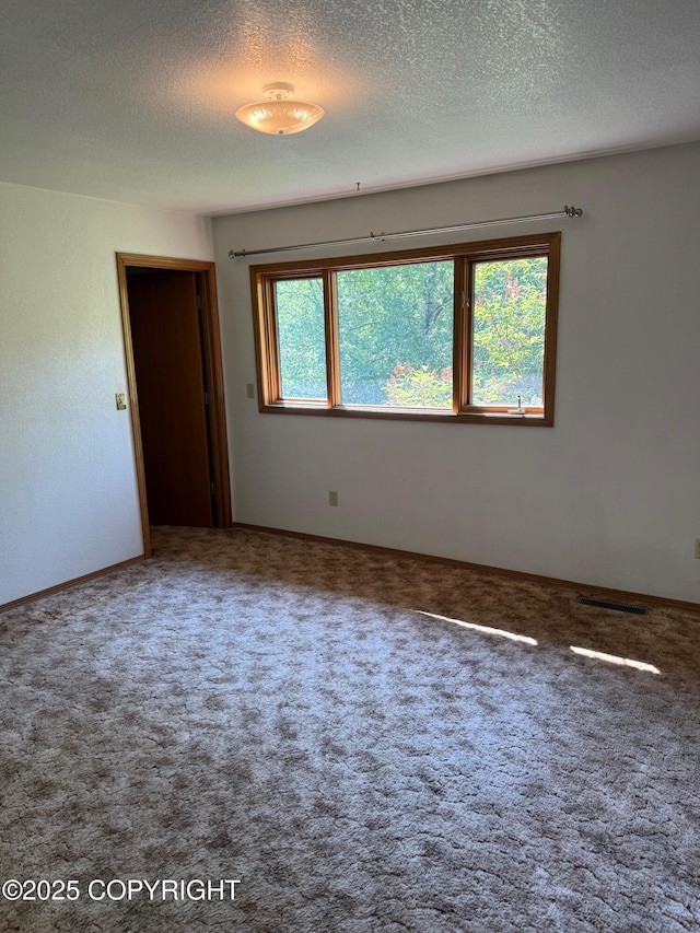 4261 E Foxtrot Ave, Wasilla, AK 99654 - empty room featuring a textured ceiling and carpet flooring