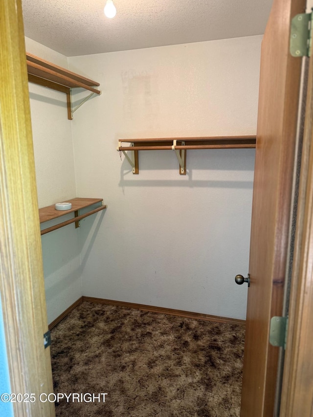 4261 E Foxtrot Ave, Wasilla, AK 99654 - spacious closet with carpet