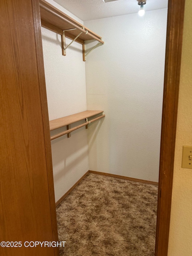 4261 E Foxtrot Ave, Wasilla, AK 99654 - walk in closet featuring carpet flooring