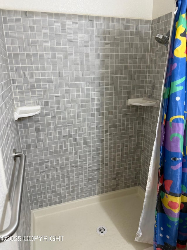 4261 E Foxtrot Ave, Wasilla, AK 99654 - full bath with tiled shower
