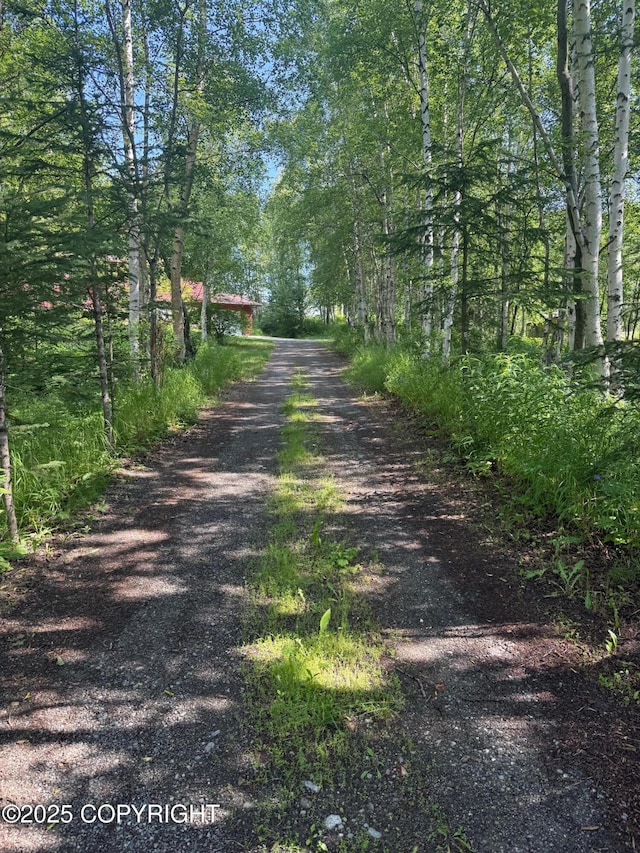 4261 E Foxtrot Ave, Wasilla, AK 99654 - view of dirt / gravel road